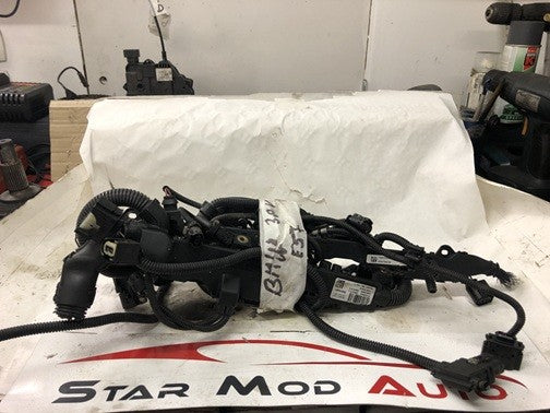 faisceau moteur Bmw n47 3.0 d réf EE00364201