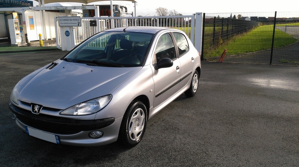 Peugeot 206 1,1 essence année 2001 couleur gris métal 5 portes 4 cv fiscales 166 000 km 