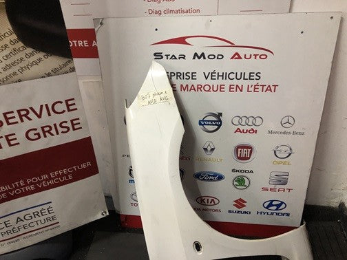 ail avant gauche et droit Peugeot 307 phase 1 2003