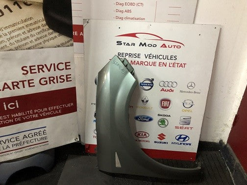 ail avant gauche et droit Renault Scénic 2 année 2008