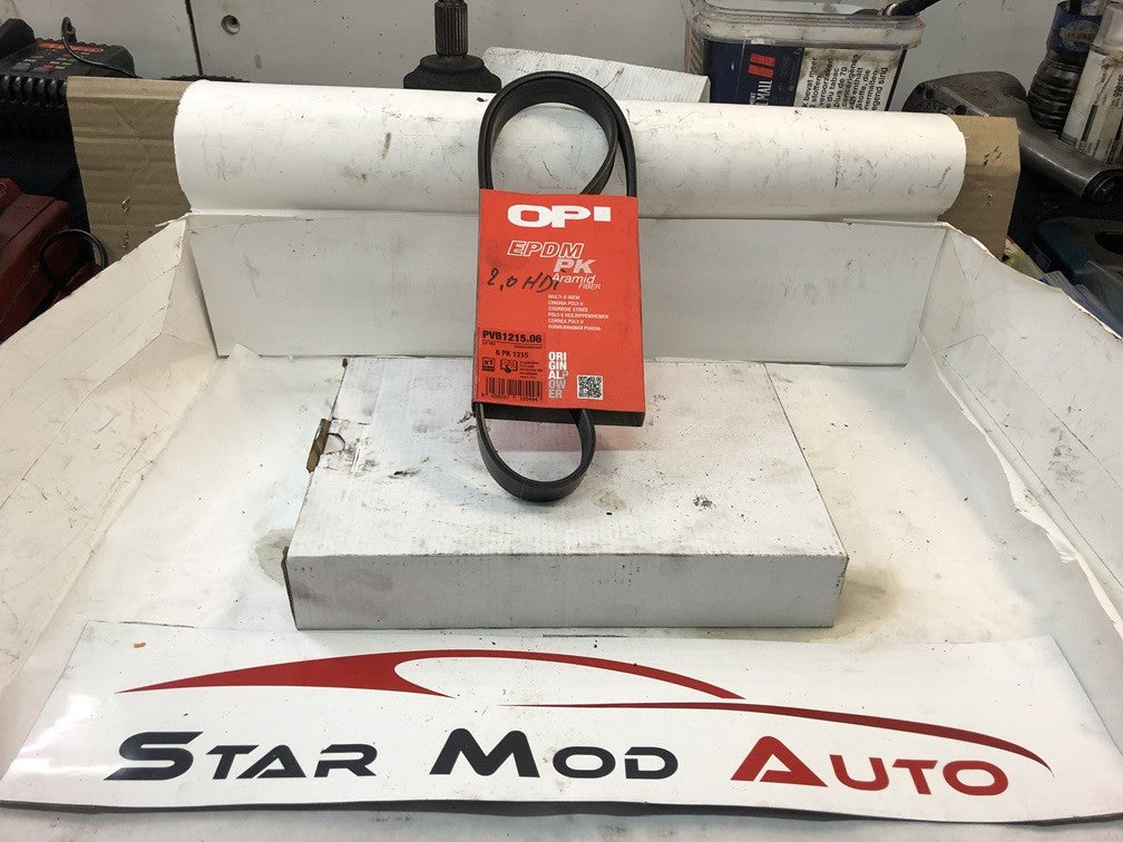 courroie accessoire Peugeot Citroën 2.0 hdi réf 6PK1225