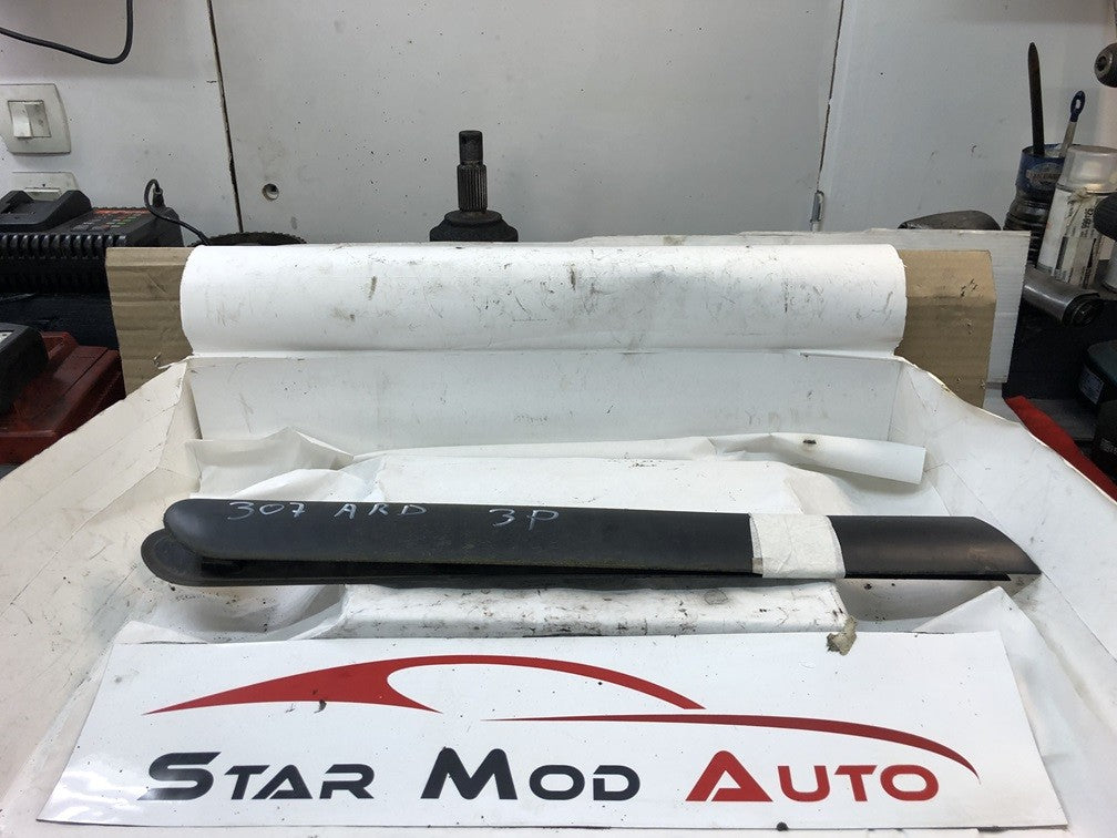 baguette ail arrière latéral gauche et droit Peugeot 307 phase 1 3 portes