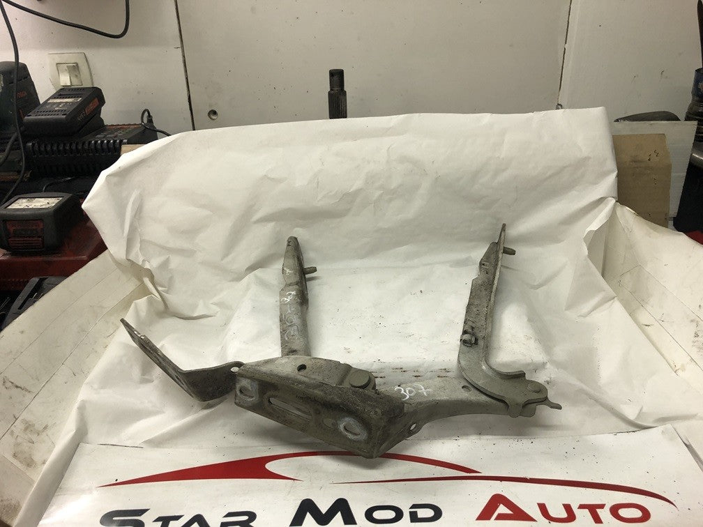 compas de capot avant gauche avant droit Peugeot 307 phase 1