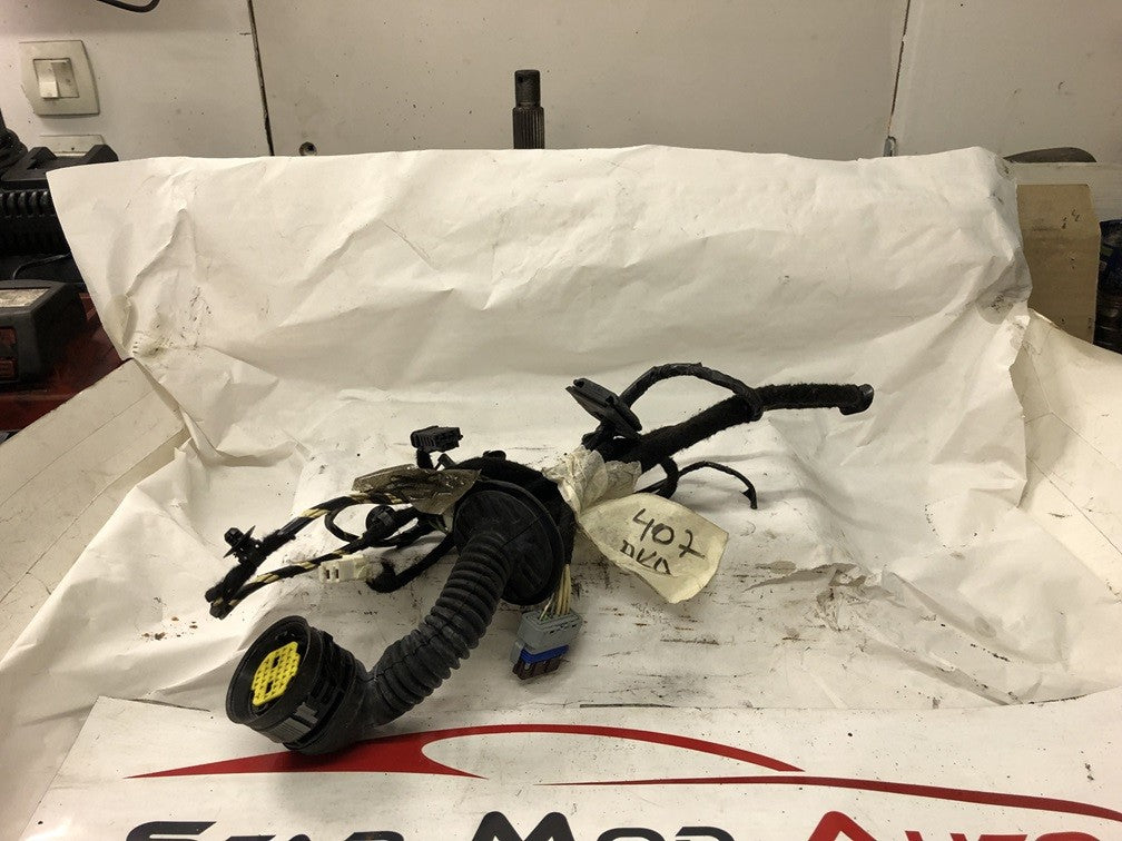 faisceaux de porte avant droit Peugeot 407 année 2008