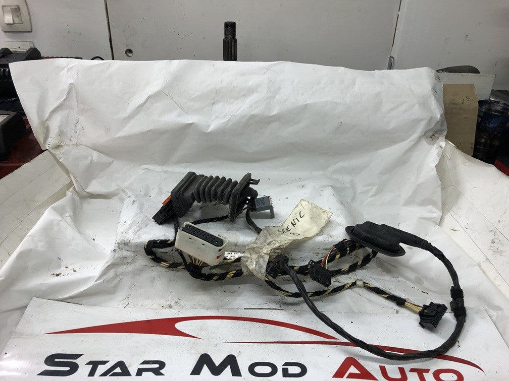 faisceaux de porte arrière droit Renault Scénic 3 année 2011