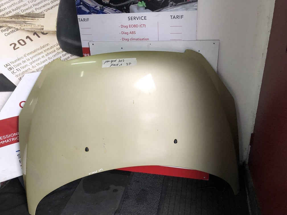 capot avant Peugeot 307 phase 1 3 portes année 2003