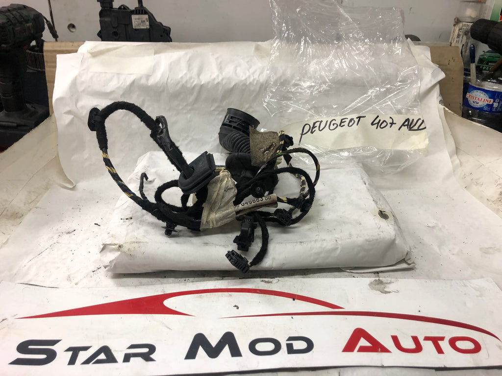 faisceaux de portes avant droit Peugeot 407